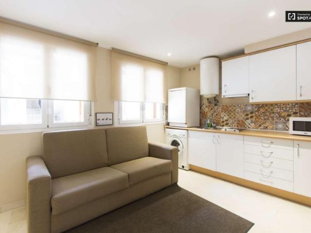 1 Dormitorio Apartamentos Madrid Madrid 101813613