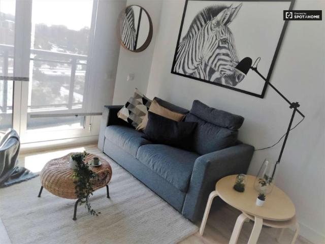 1 Dormitorio Apartamentos Madrid Madrid 101821300