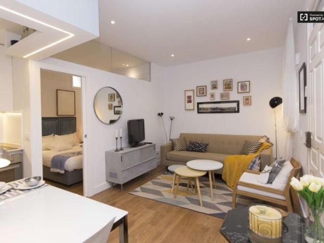 1 Dormitorio Apartamentos Madrid Madrid 101821340