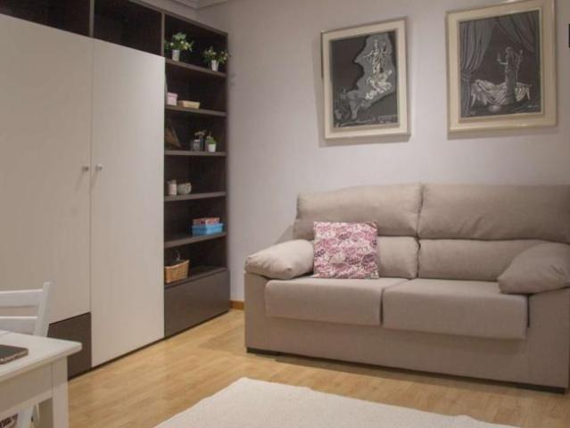 1 Dormitorio Apartamentos Madrid Madrid 101822975