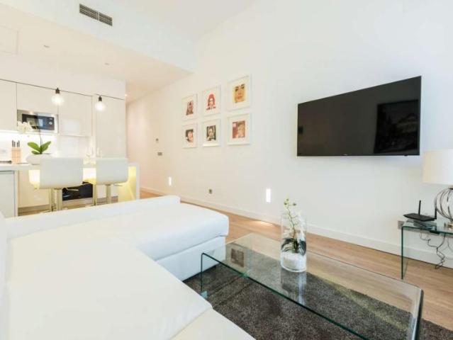 1 Dormitorio Apartamentos Madrid Madrid 101823914