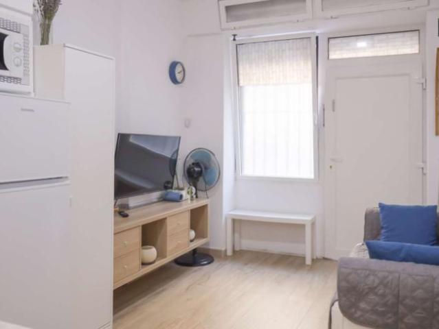1 Dormitorio Apartamentos Madrid Madrid 101835587