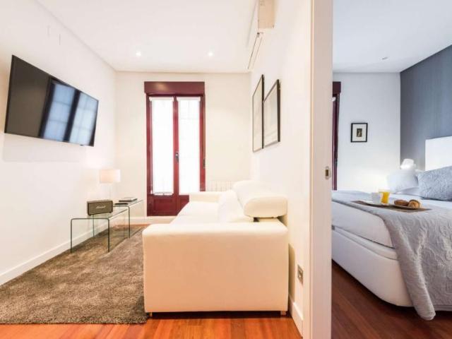 1 Dormitorio Apartamentos Madrid Madrid 101844420