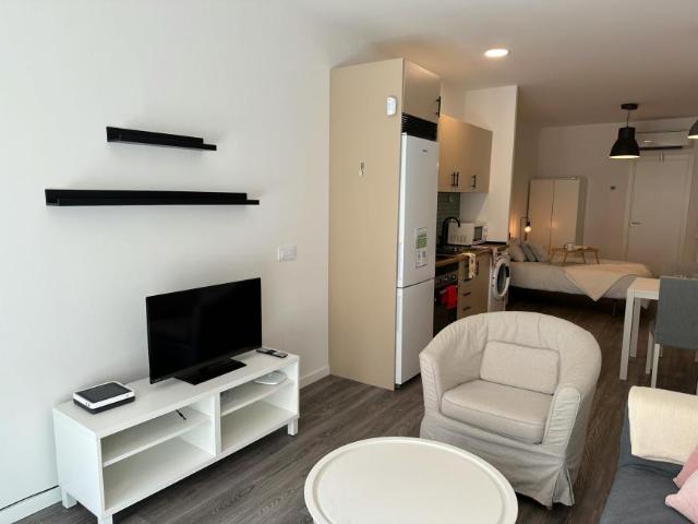 1 Dormitorio Apartamentos Madrid Madrid 101843134