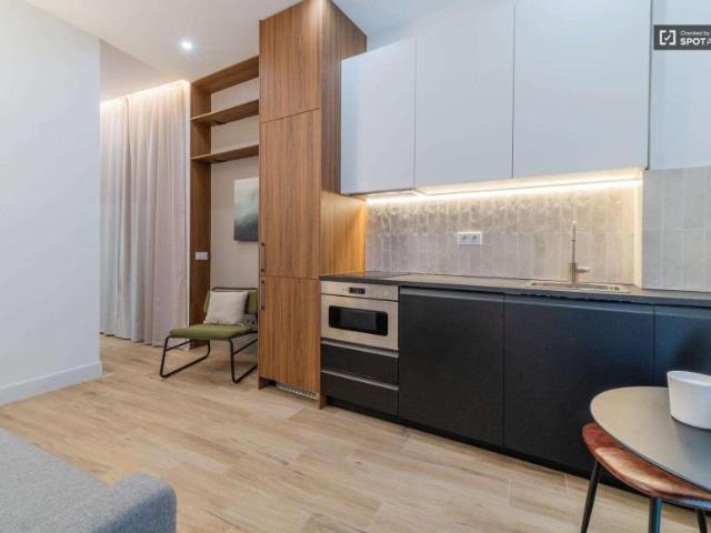 1 Dormitorio Apartamentos Madrid Madrid 101953017