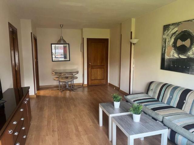 1 Dormitorio Apartamentos Madrid Madrid 101993052
