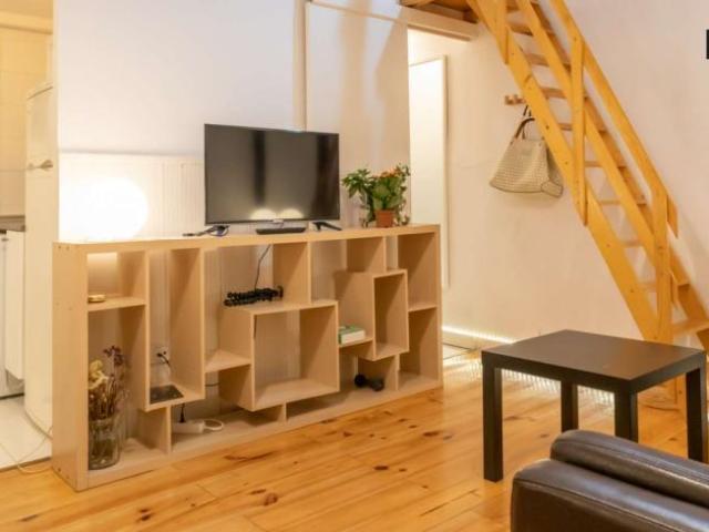 1 Dormitorio Apartamentos Madrid Madrid 102056232