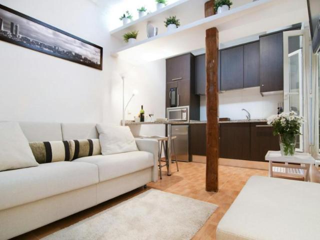 1 Dormitorio Apartamentos Madrid Madrid 102436521