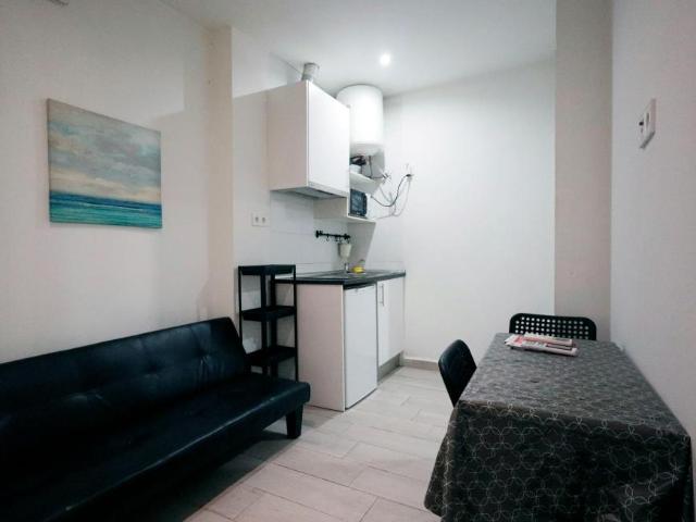 1 Dormitorio Apartamentos Madrid Madrid 102854779