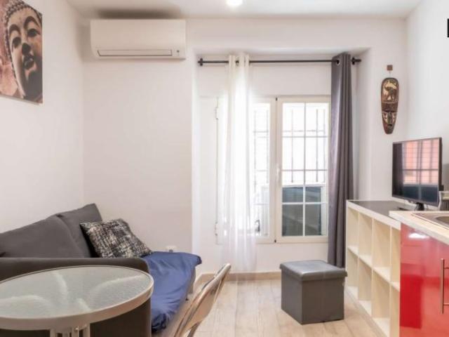 1 Dormitorio Apartamentos Madrid Madrid 102850517
