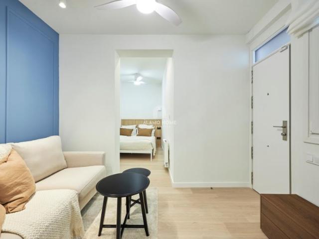 1 Dormitorio Apartamentos Madrid Madrid 103154164