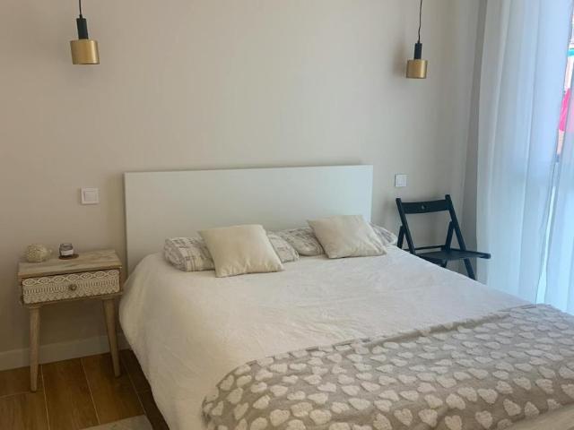 1 Dormitorio Apartamentos Madrid Madrid 103152811