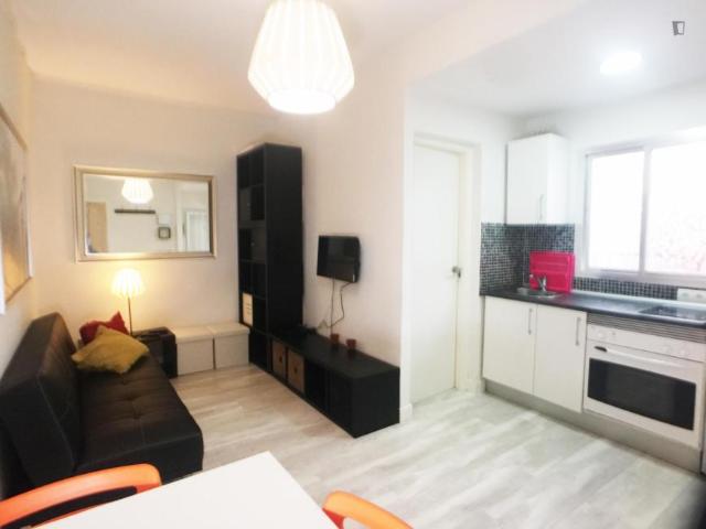 1 Dormitorio Apartamentos Madrid Madrid 103264695