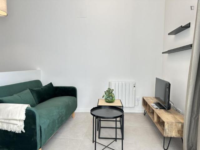 1 Dormitorio Apartamentos Madrid Madrid 103267628
