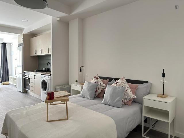 1 Dormitorio Apartamentos Madrid Madrid 103267973