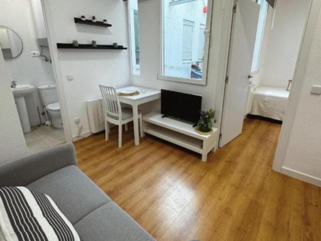 1 Dormitorio Apartamentos Madrid Madrid 103268033