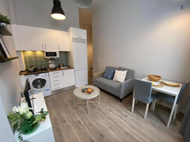 1 Dormitorio Apartamentos Madrid Madrid 103268817