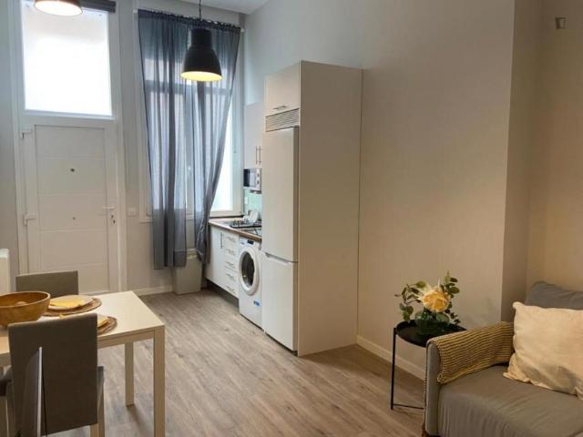 1 Dormitorio Apartamentos Madrid Madrid 103269938