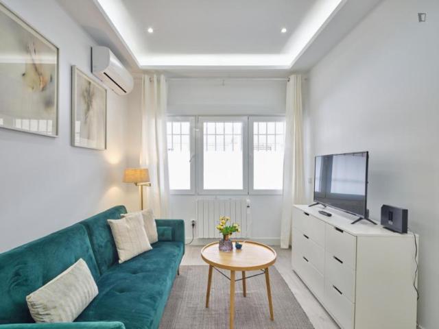 1 Dormitorio Apartamentos Madrid Madrid 103261146