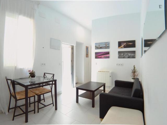 1 Dormitorio Apartamentos Madrid Madrid 103261958