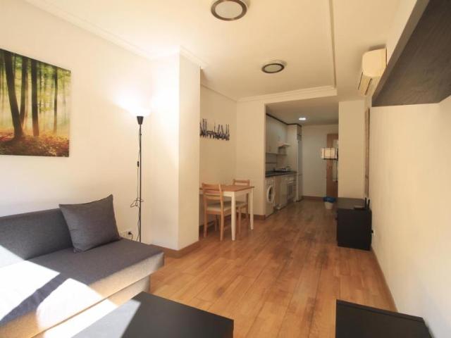 1 Dormitorio Apartamentos Madrid Madrid 103262588
