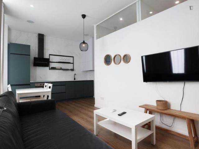 1 Dormitorio Apartamentos Madrid Madrid 103263057