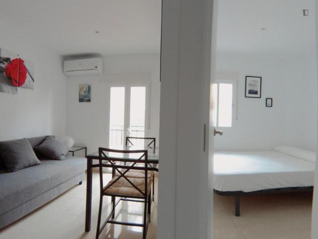 1 Dormitorio Apartamentos Madrid Madrid 103263193