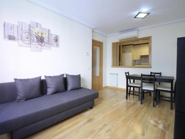 1 Dormitorio Apartamentos Madrid Madrid 103263323