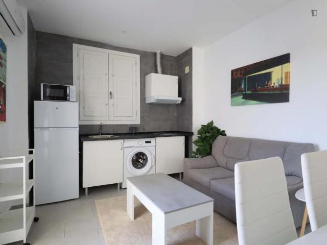 1 Dormitorio Apartamentos Madrid Madrid 103263653