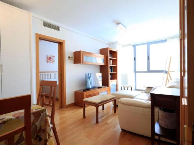 1 Dormitorio Apartamentos Madrid Madrid 103263864