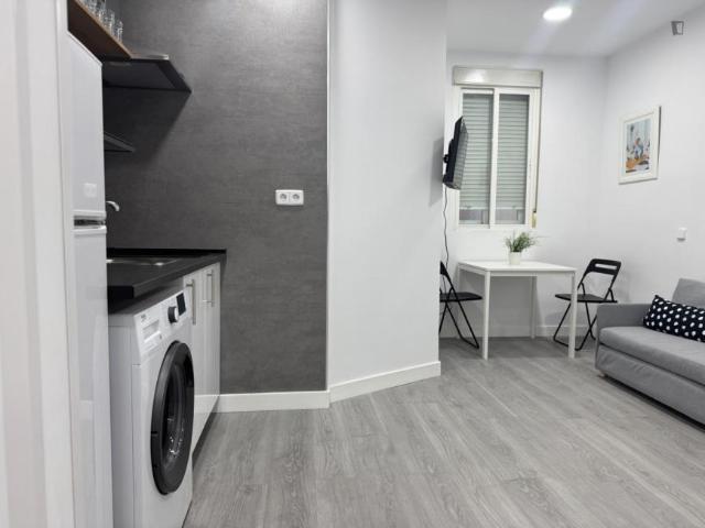1 Dormitorio Apartamentos Madrid Madrid 103275069