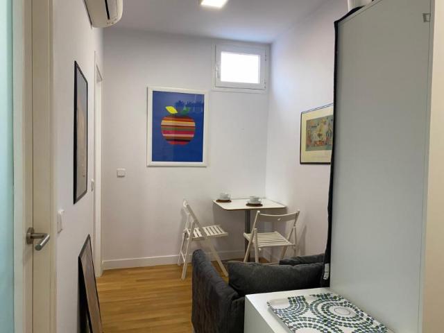 1 Dormitorio Apartamentos Madrid Madrid 103275101