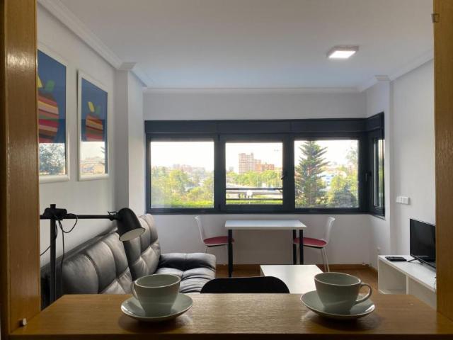 1 Dormitorio Apartamentos Madrid Madrid 103275525
