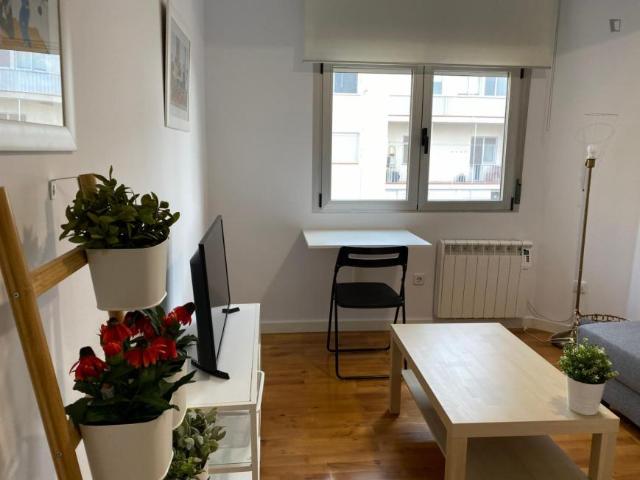 1 Dormitorio Apartamentos Madrid Madrid 103275754