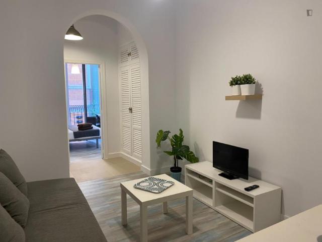 1 Dormitorio Apartamentos Madrid Madrid 103275988