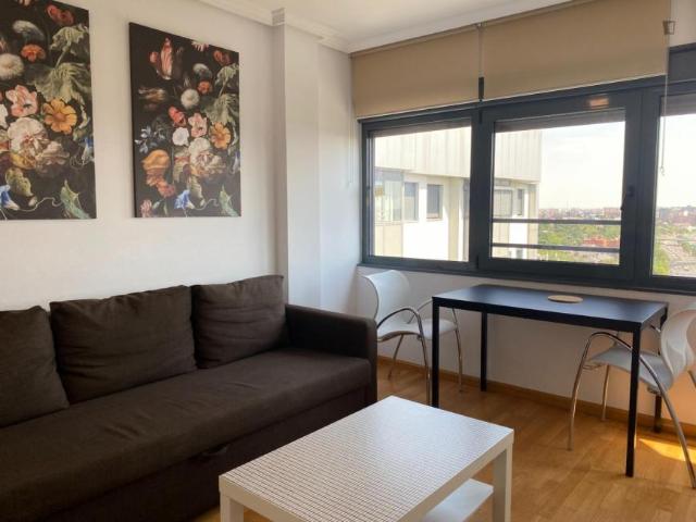 1 Dormitorio Apartamentos Madrid Madrid 103276020