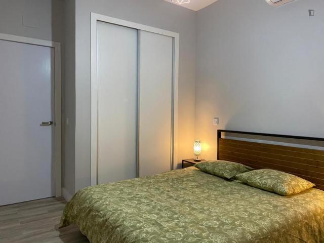 1 Dormitorio Apartamentos Madrid Madrid 103279031
