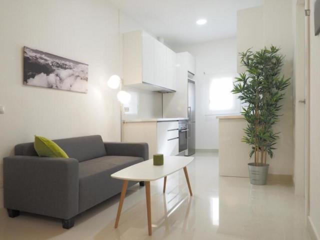 1 Dormitorio Apartamentos Madrid Madrid 103279470