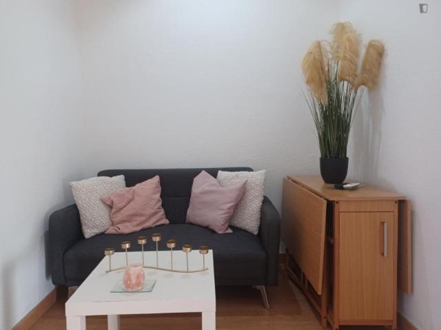 1 Dormitorio Apartamentos Madrid Madrid 103279873