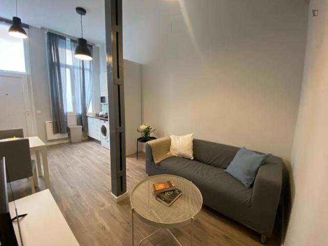 1 Dormitorio Apartamentos Madrid Madrid 103270023
