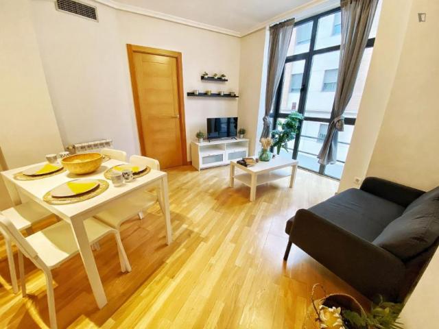 1 Dormitorio Apartamentos Madrid Madrid 103270238