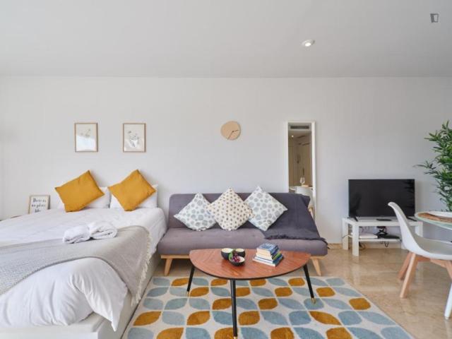 1 Dormitorio Apartamentos Madrid Madrid 103271415