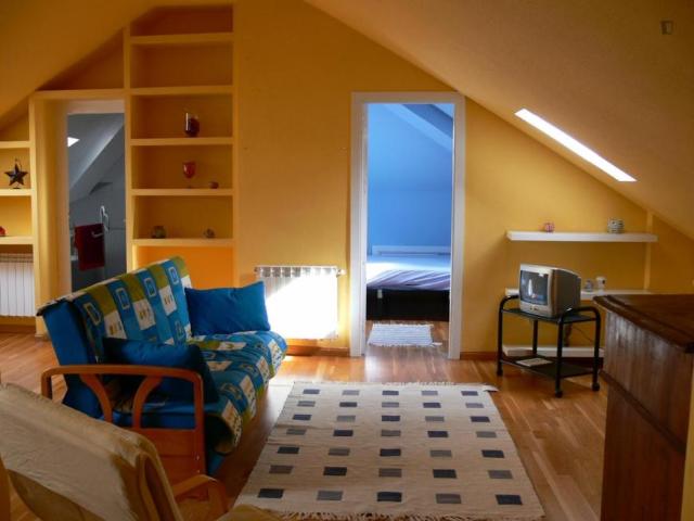 1 Dormitorio Apartamentos Madrid Madrid 103272217