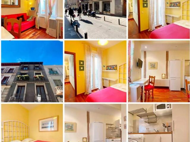 1 Dormitorio Apartamentos Madrid Madrid 103272320