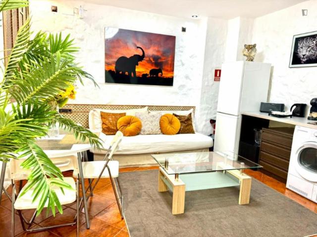 1 Dormitorio Apartamentos Madrid Madrid 103272726