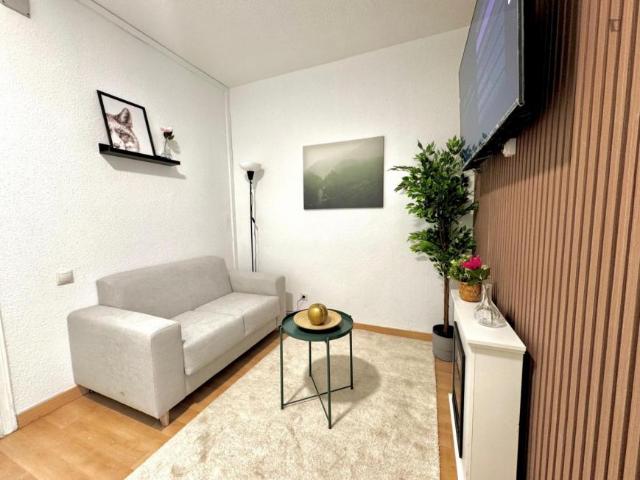 1 Dormitorio Apartamentos Madrid Madrid 103273117