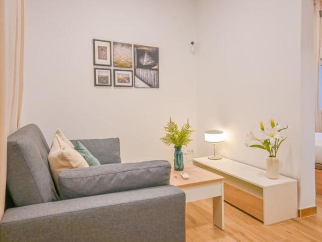 1 Dormitorio Apartamentos Madrid Madrid 103282005