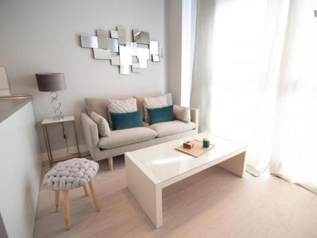 1 Dormitorio Apartamentos Madrid Madrid 103282460