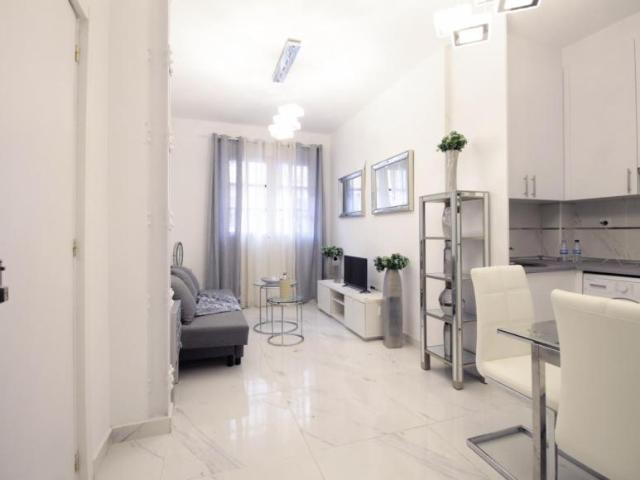 1 Dormitorio Apartamentos Madrid Madrid 103301785