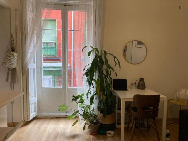 1 Dormitorio Apartamentos Madrid Madrid 103338810